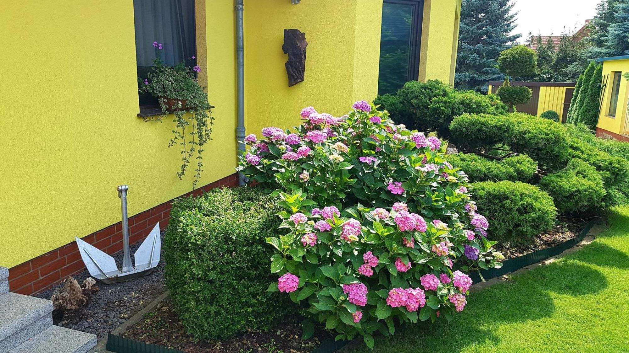 Ferienwohnung Guenther , 3 - Sterne วาเริน ภายนอก รูปภาพ